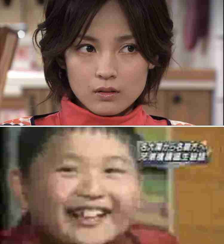似てると言われた芸能人の天と地　part2
