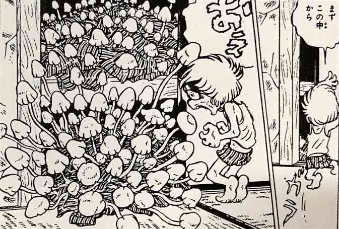 「使用済みオムツが宝の山に」メキシコで行われている漫画のようなキノコの殖やし方
