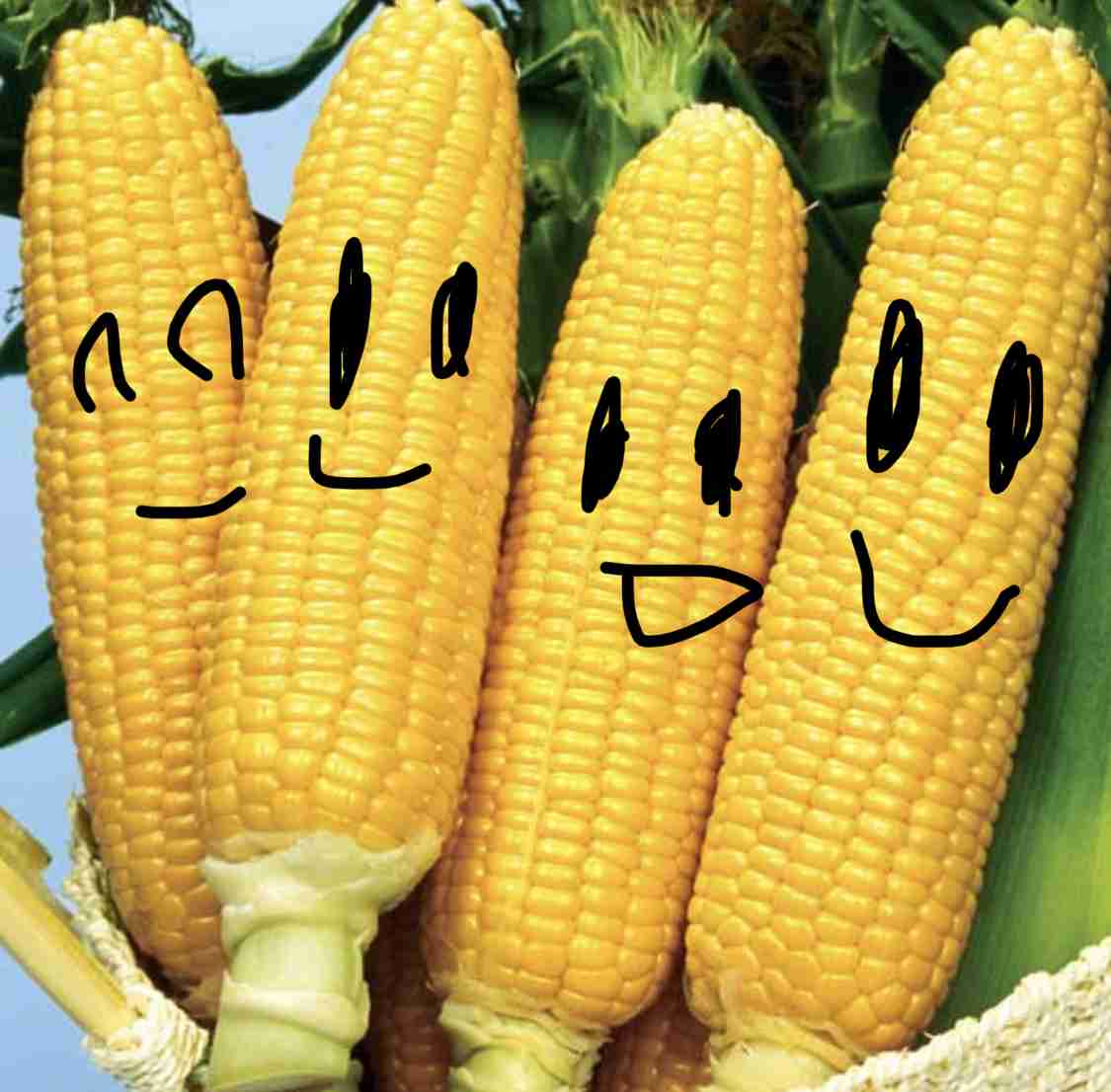 野菜を可愛くしてみるトピ