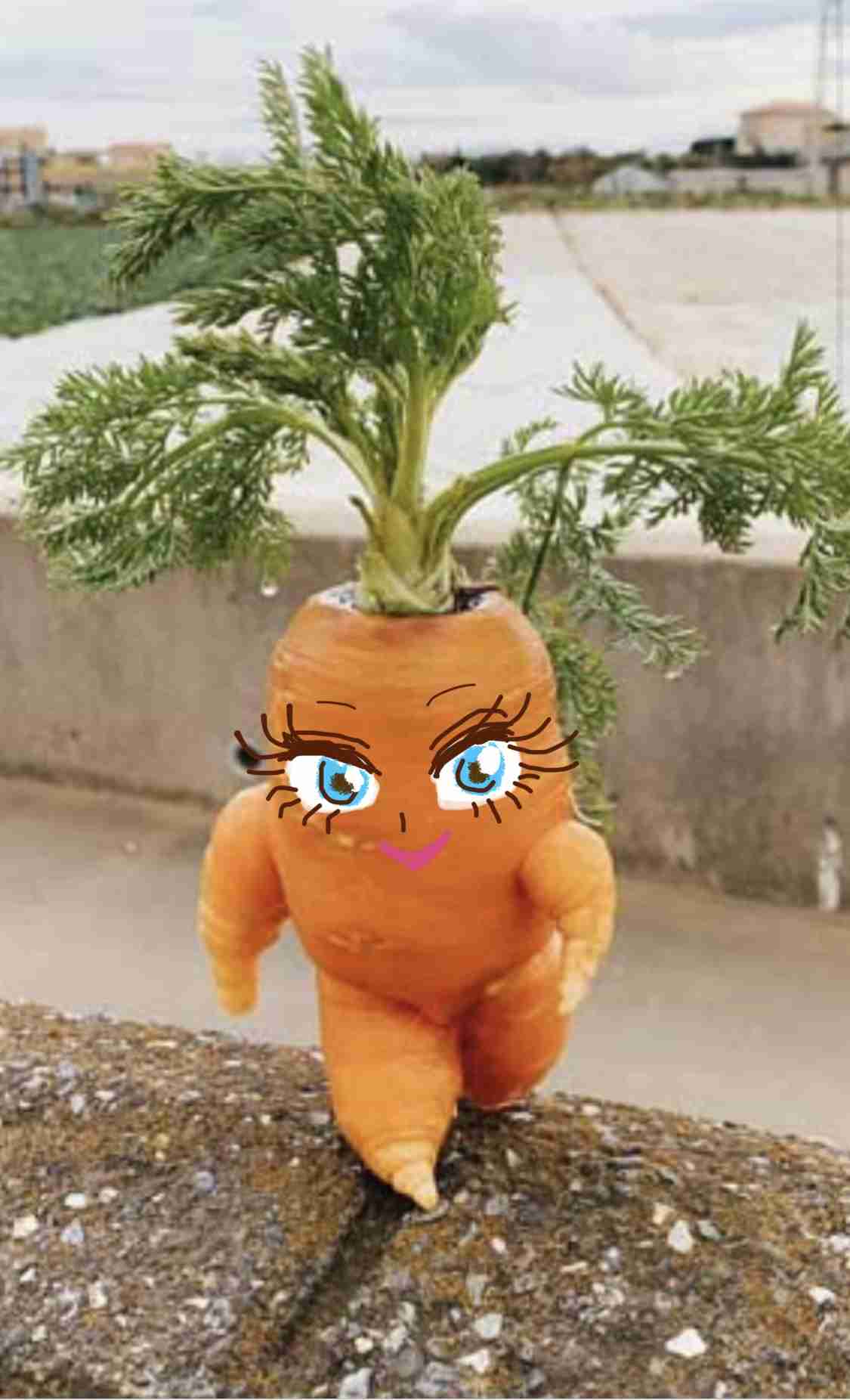 野菜を可愛くしてみるトピ