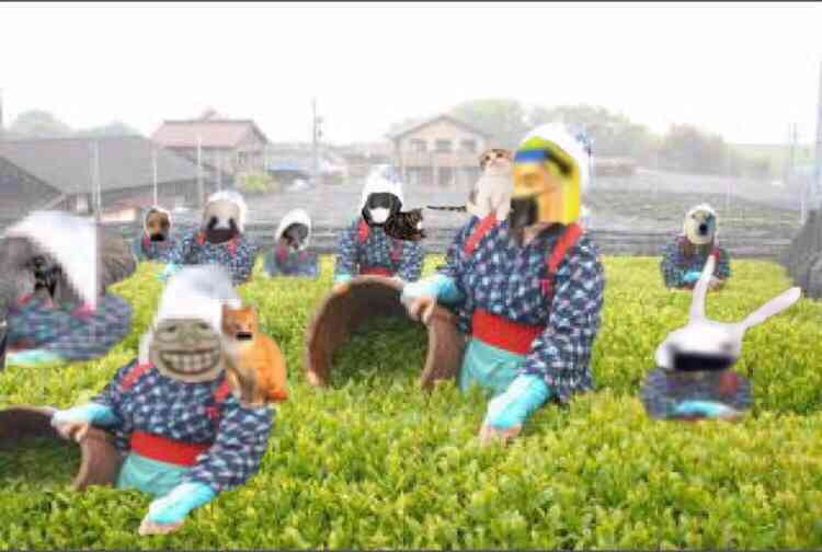 東京都 新型コロナ1万8287人感染確認 前週同曜日を下回るのは今年初めて