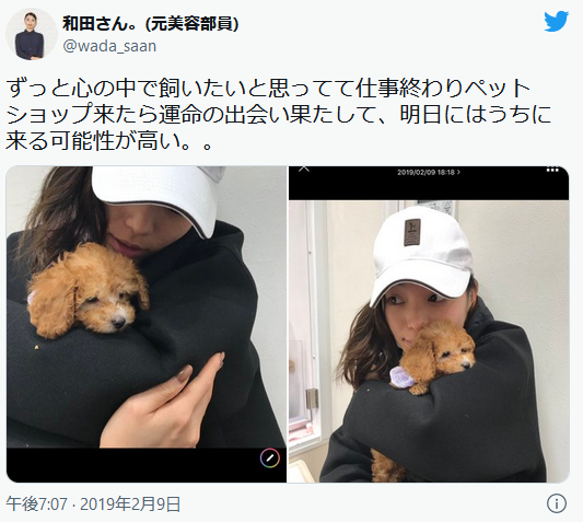 老犬捨てる人が増加…保護して16匹看取ってきた代表「飼い主に見せたい。最期までこんな立派に生きたよと」