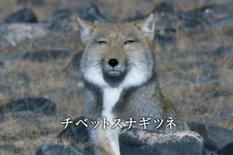 【実況・感想】北京オリンピック◇閉会式