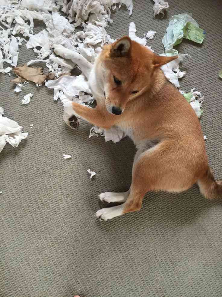 そんなに悪いことなのかなと思うこと Part2