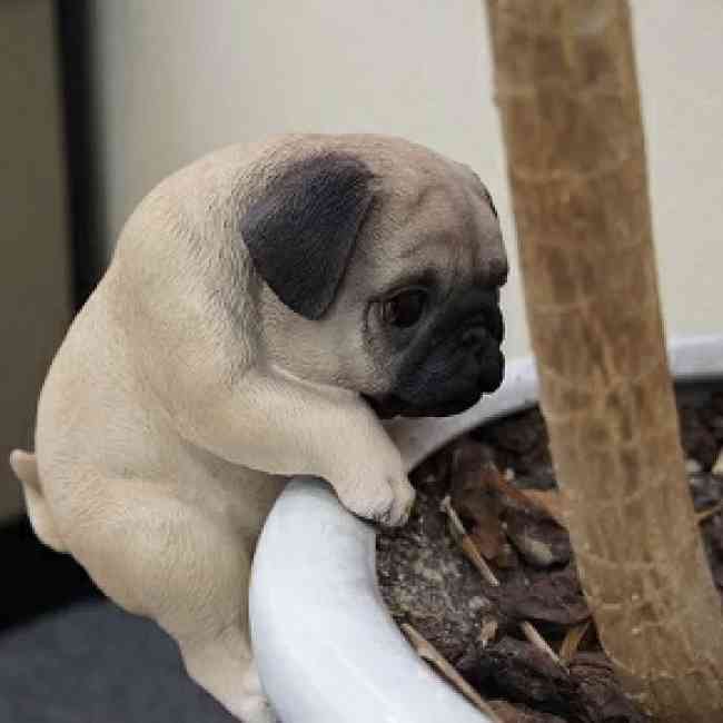 いろんなガーデニング雑貨が見たい