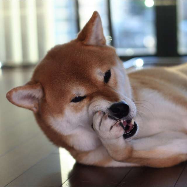 部分入れ歯に慣れません