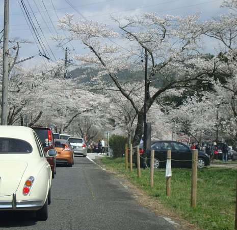 【どこ行く?】コロナ明け日帰り旅行の計画【何する?】