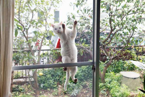 女性が1階に住むのってやっぱり危険? 実際に住んでみたら…