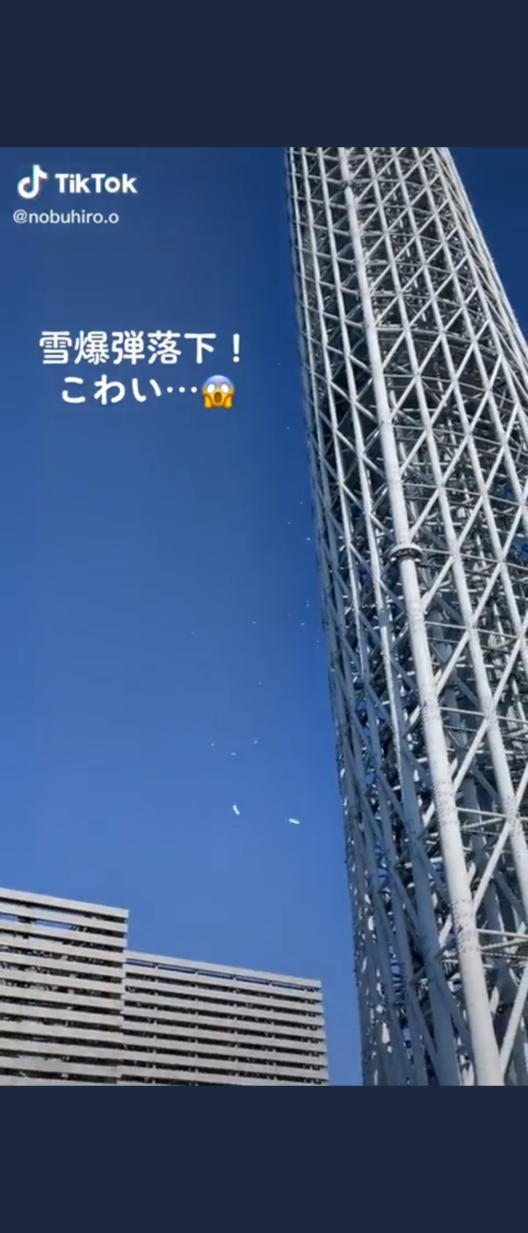 東京積雪、スカイツリーから歩道への落雪が「危ない」歩行者どう身を守れば?施設に対策を聞いた