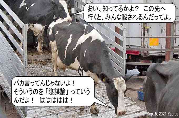 ウクライナ東部　親ロ派支配地域の独立　ロシアが承認