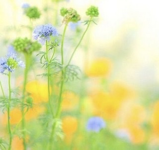 病気や薬の副作用で太ってしまった人のダイエット