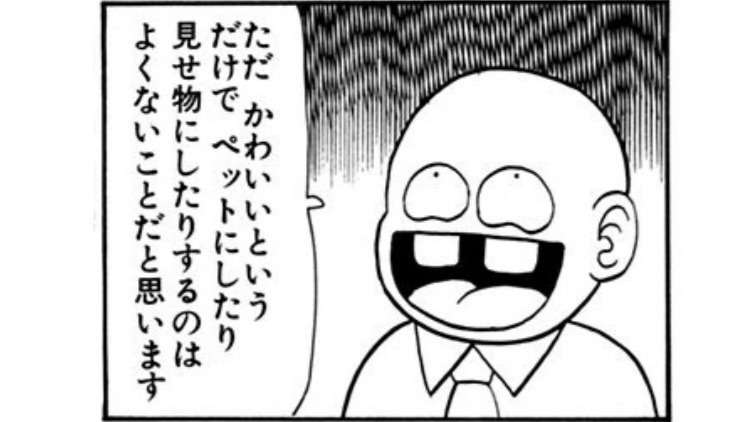 我が子が1日だけ赤ちゃんに戻ったらしたいこと　part4