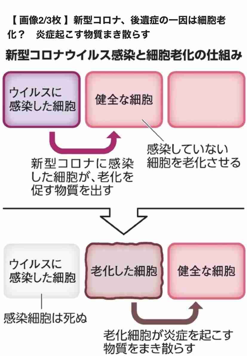 「コロナは風邪」が信条だった飲食店主、感染して自らの無責任を反省