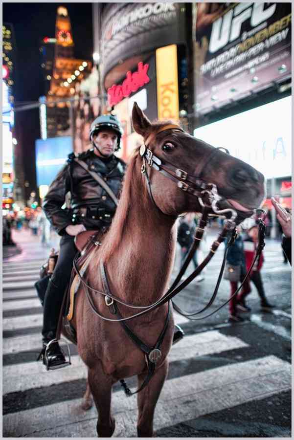 全日本舌しまい忘れ協会 ガルちゃん支部 2022