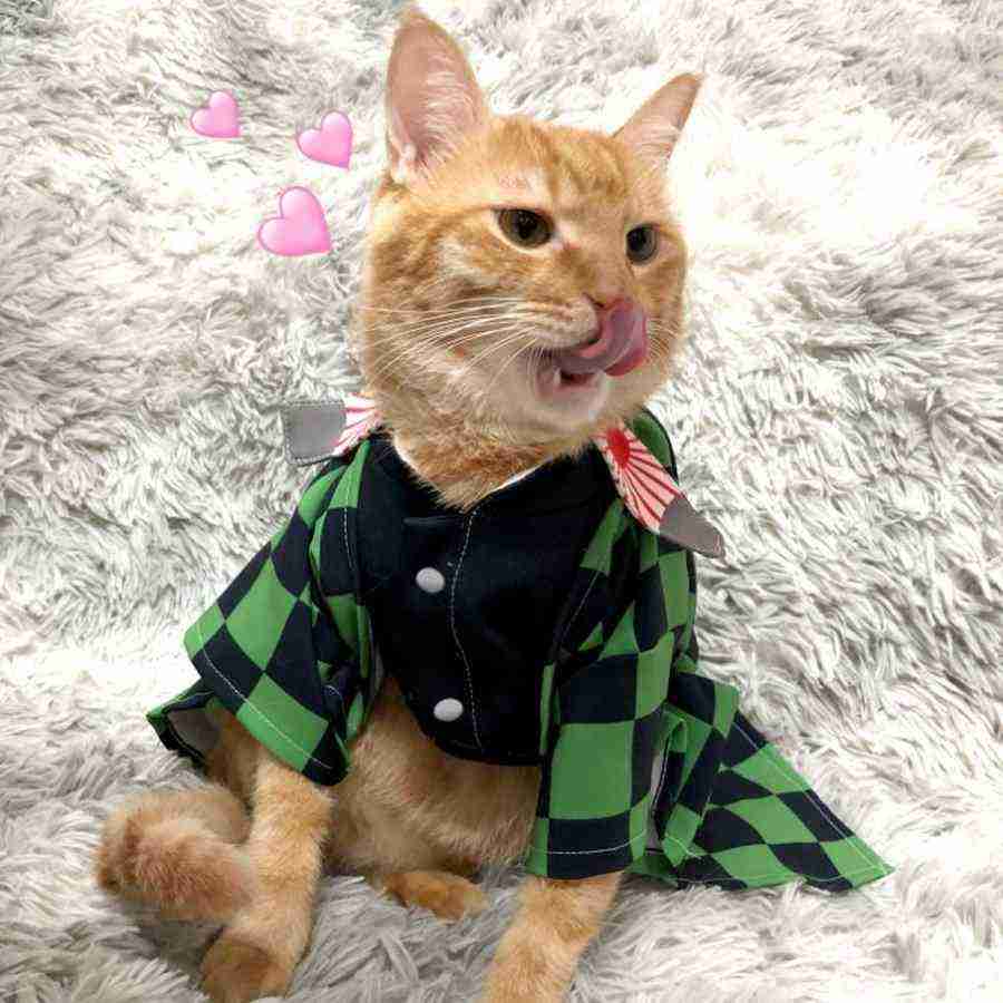 全日本舌しまい忘れ協会 ガルちゃん支部 2022