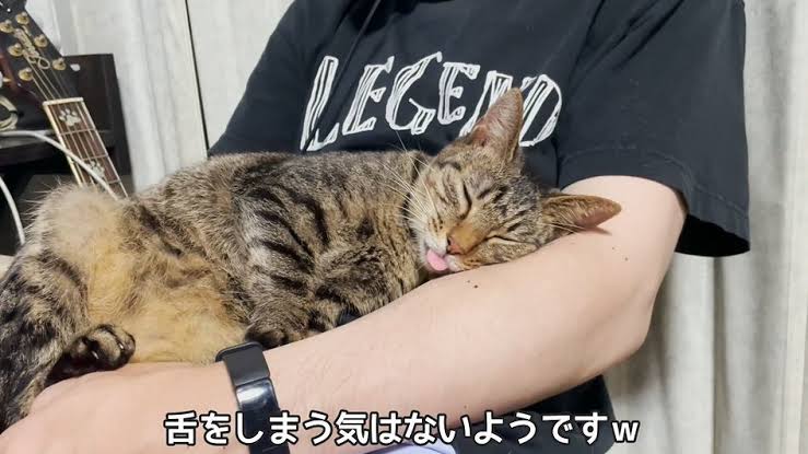 全日本舌しまい忘れ協会 ガルちゃん支部 2022