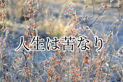 離婚後のハッピーな生活を妄想するトピ（ネタ可）