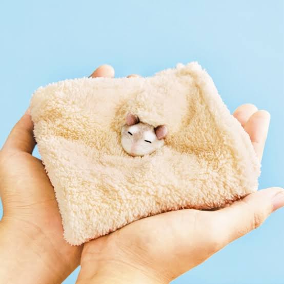 ハムスター好きな人！