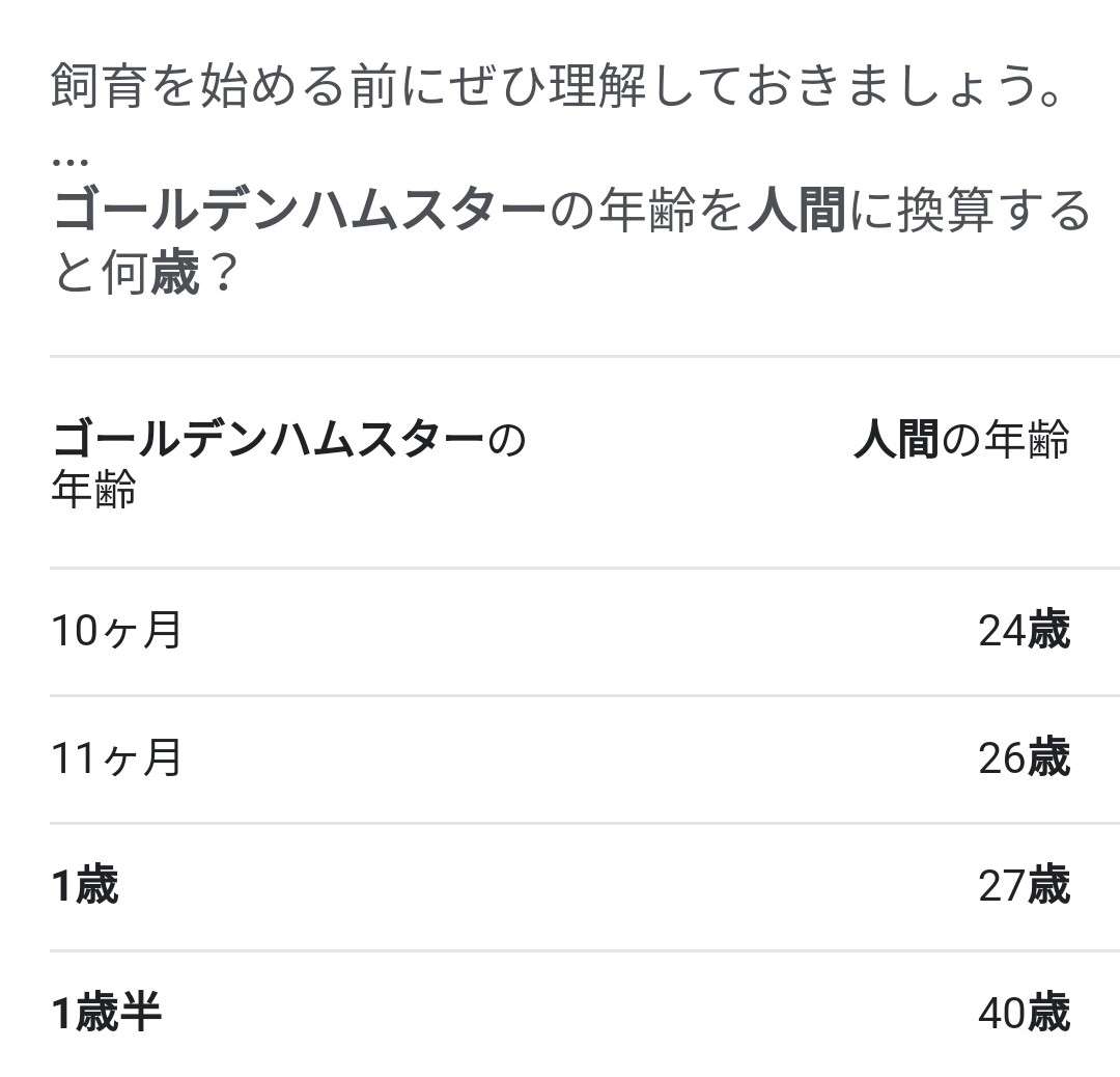 ハムスター好きな人！