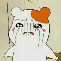 ハムスター好きな人！