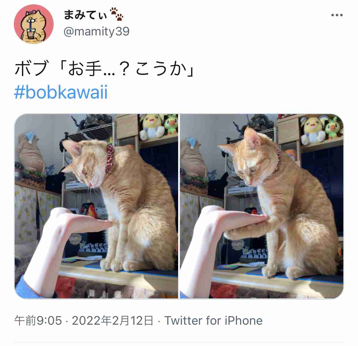 一番最近保存した画像
