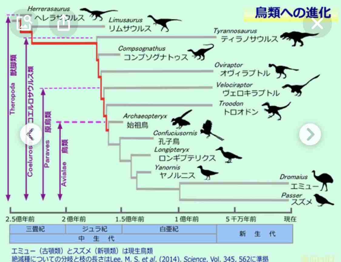一番最近保存した画像