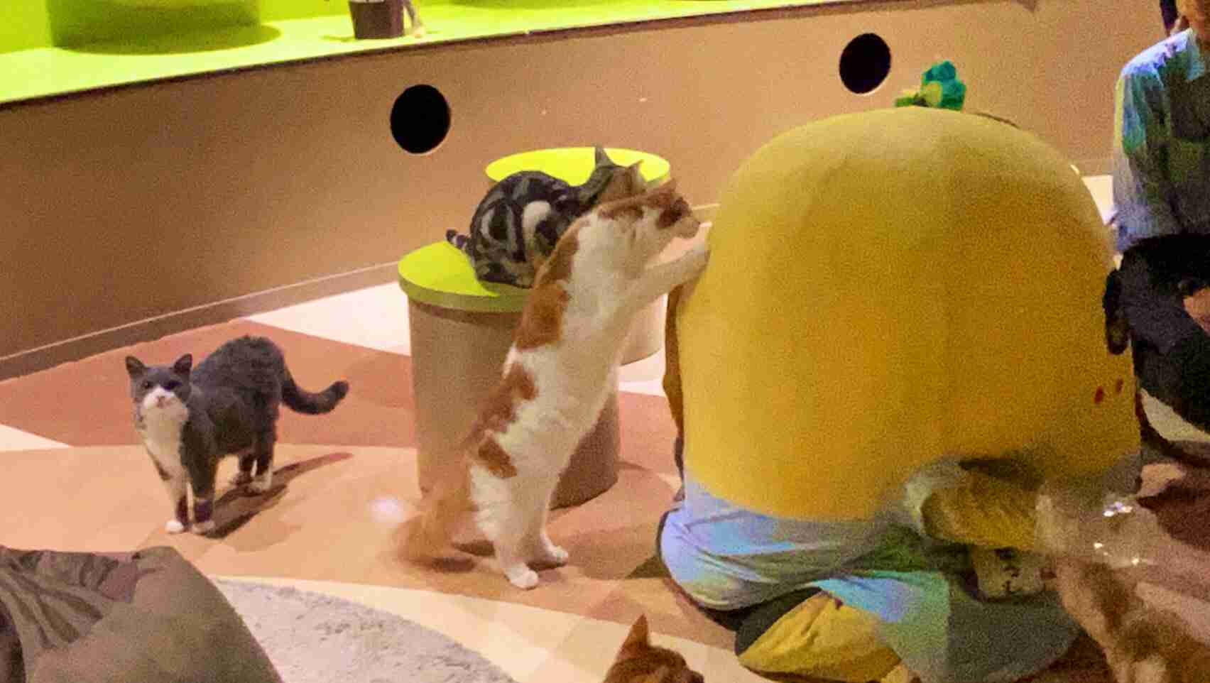 一番最近保存した画像