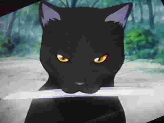 「好きな“猫キャラ”ランキング」1位はジブリ、キティに大差で勝利の“国民的アニメ”