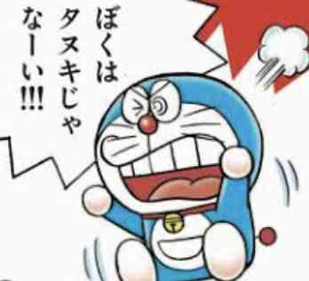 「好きな“猫キャラ”ランキング」1位はジブリ、キティに大差で勝利の“国民的アニメ”
