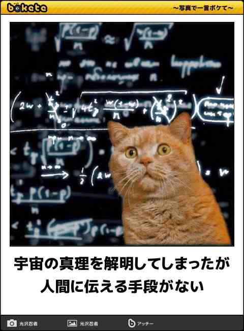 人生最大の謎[未解決]
