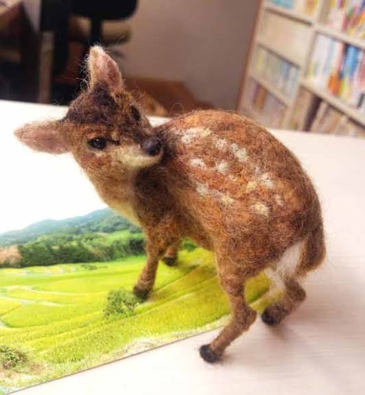 台湾では高級食材の「キョン」、千葉県が「房総ジビエ」にしない理由とは?