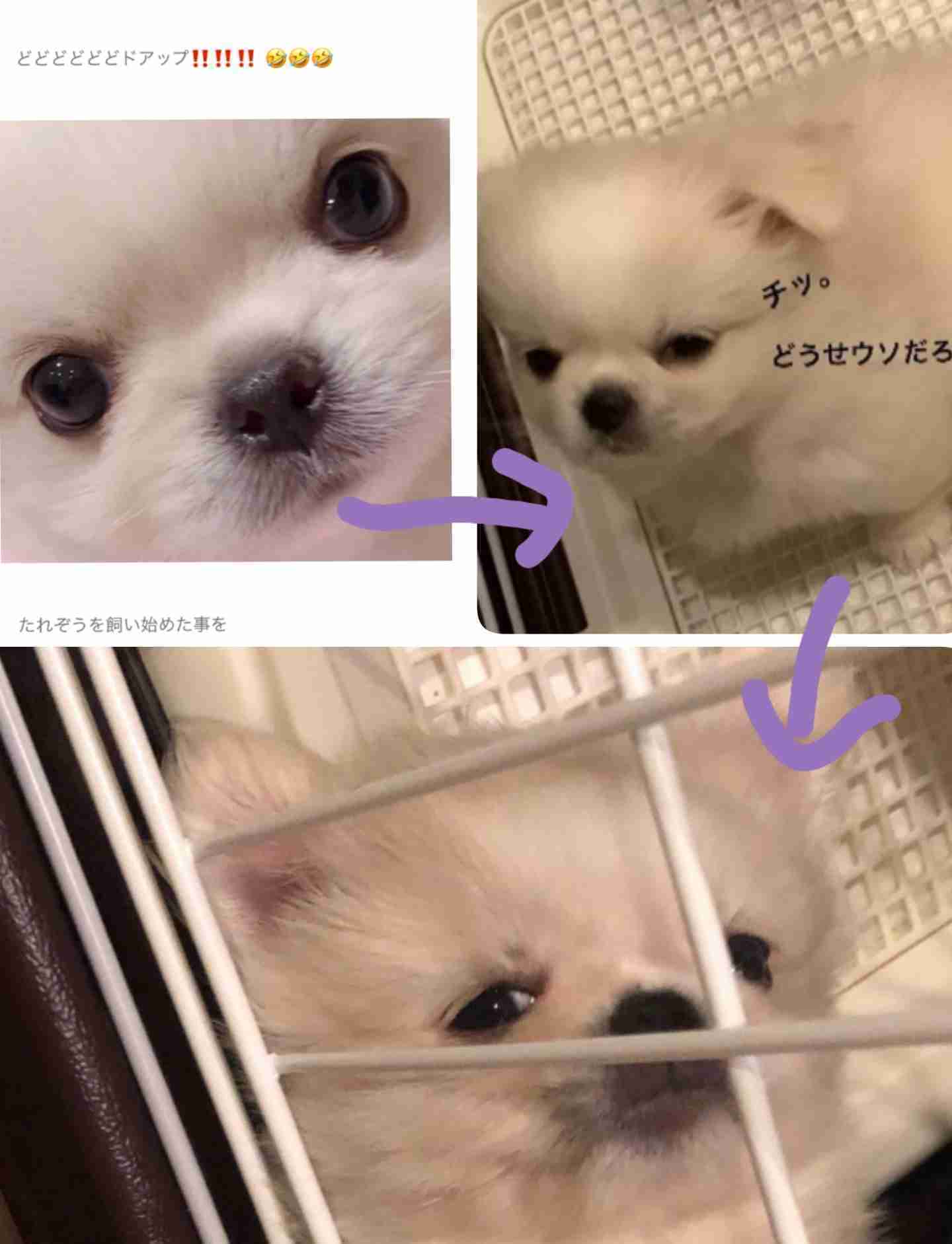 ざわちん、ボディコン姿を公開…「少し太り気味」と反省も「めちゃめちゃスタイルいい」の声