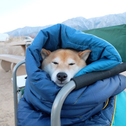 【家族旅行】アウトドアが苦痛