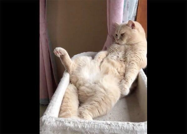 仕事ができないのを改善したい