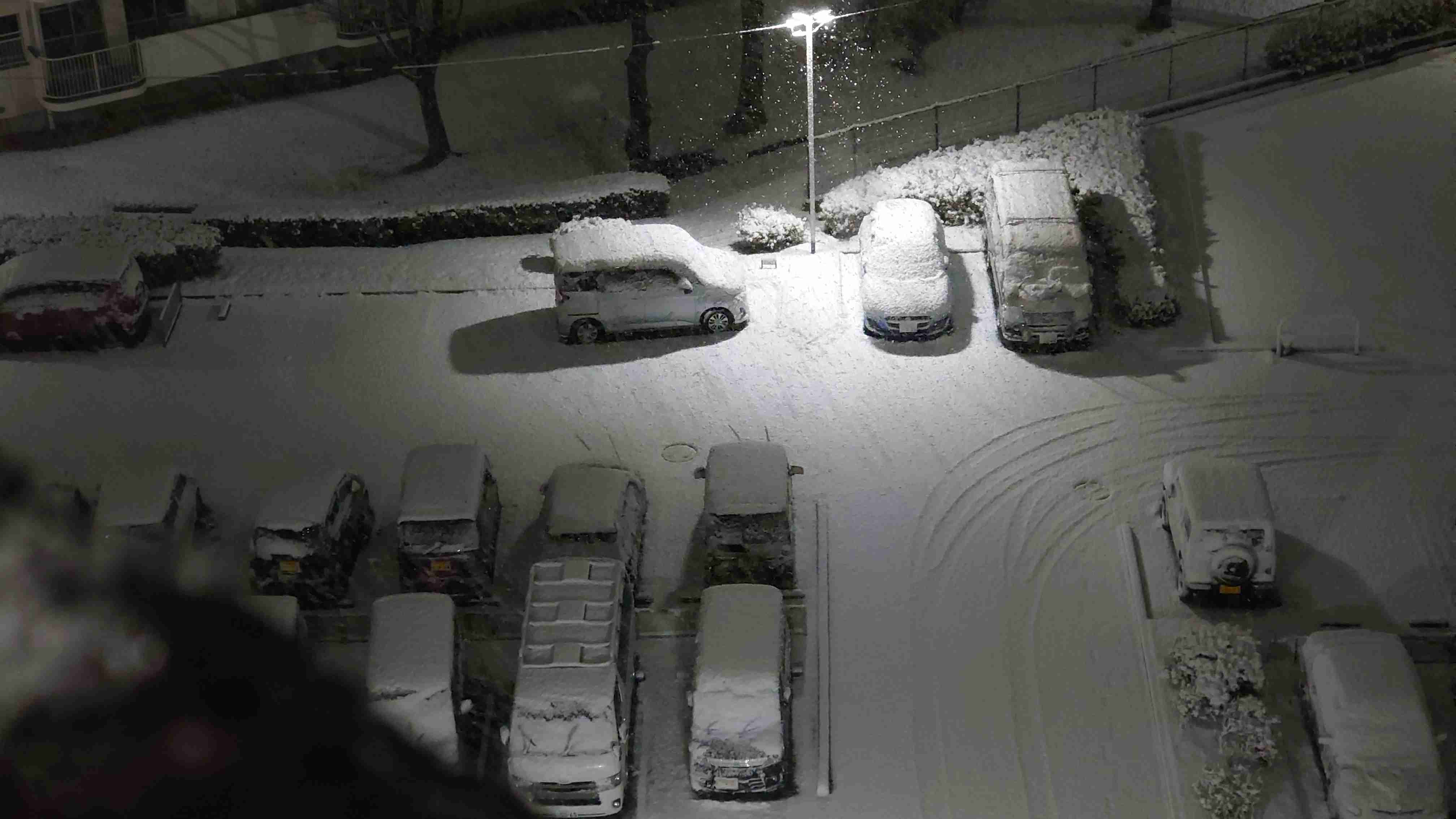 【雪】情報共有