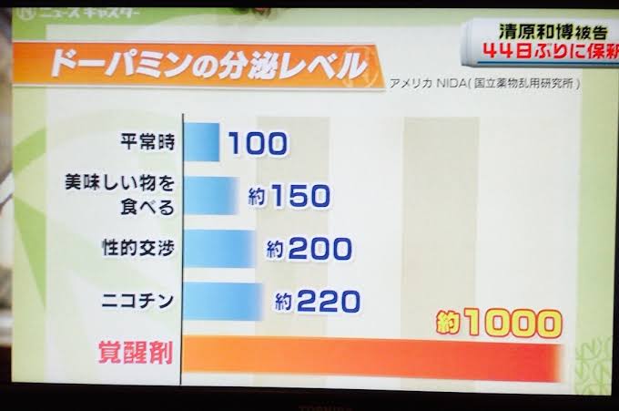 【速報】元アイドルで音楽家の田中聖が覚醒剤取締法違反の疑いで逮捕