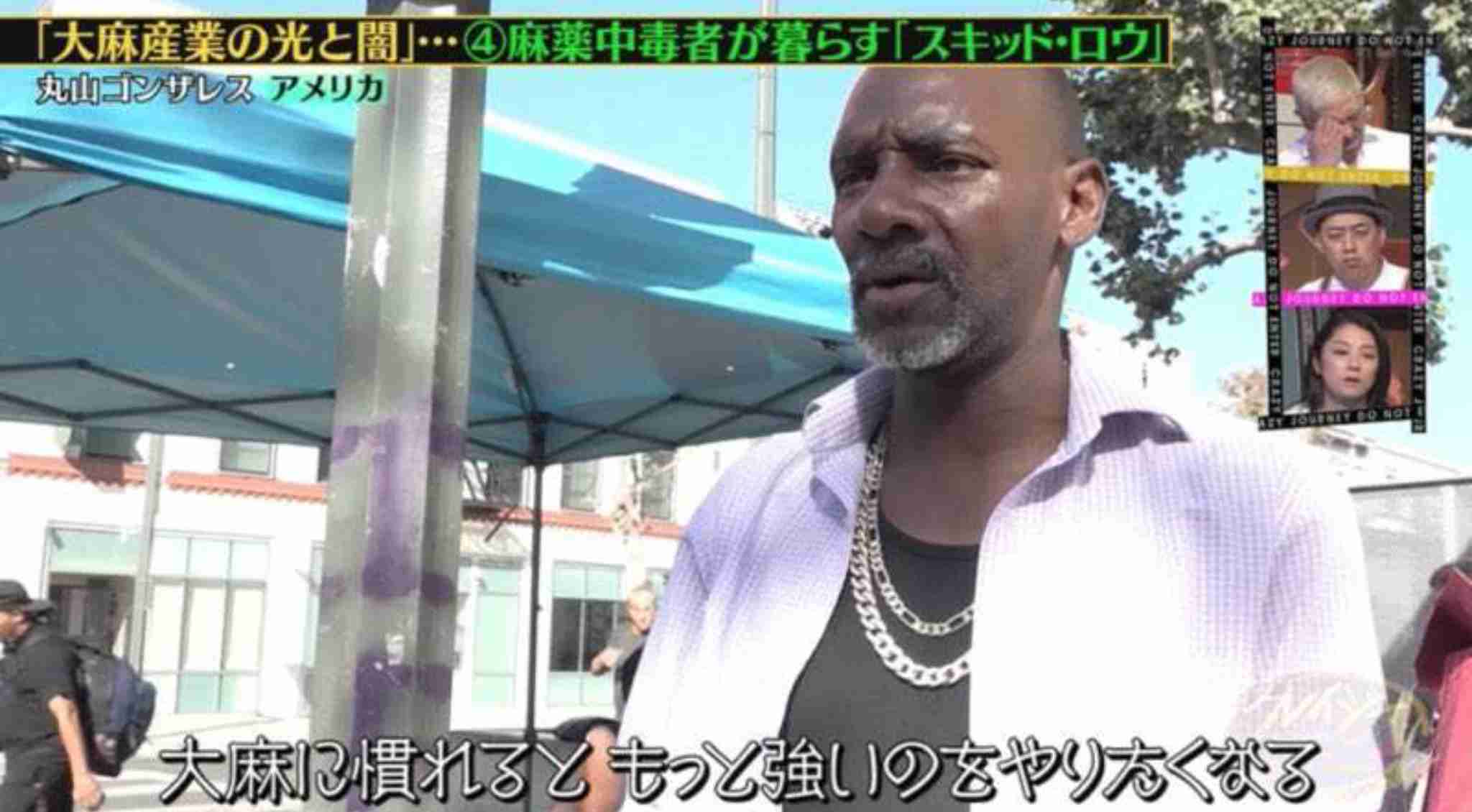 【速報】元アイドルで音楽家の田中聖が覚醒剤取締法違反の疑いで逮捕