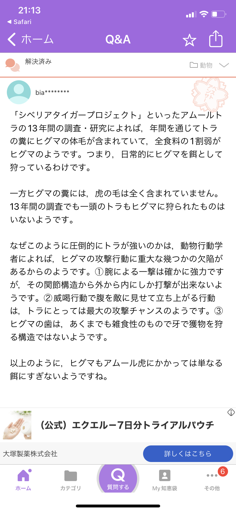 北海道「超巨大ヒグマ」の衝撃…ヤバすぎる「戦闘能力」に住民は恐怖で震えた