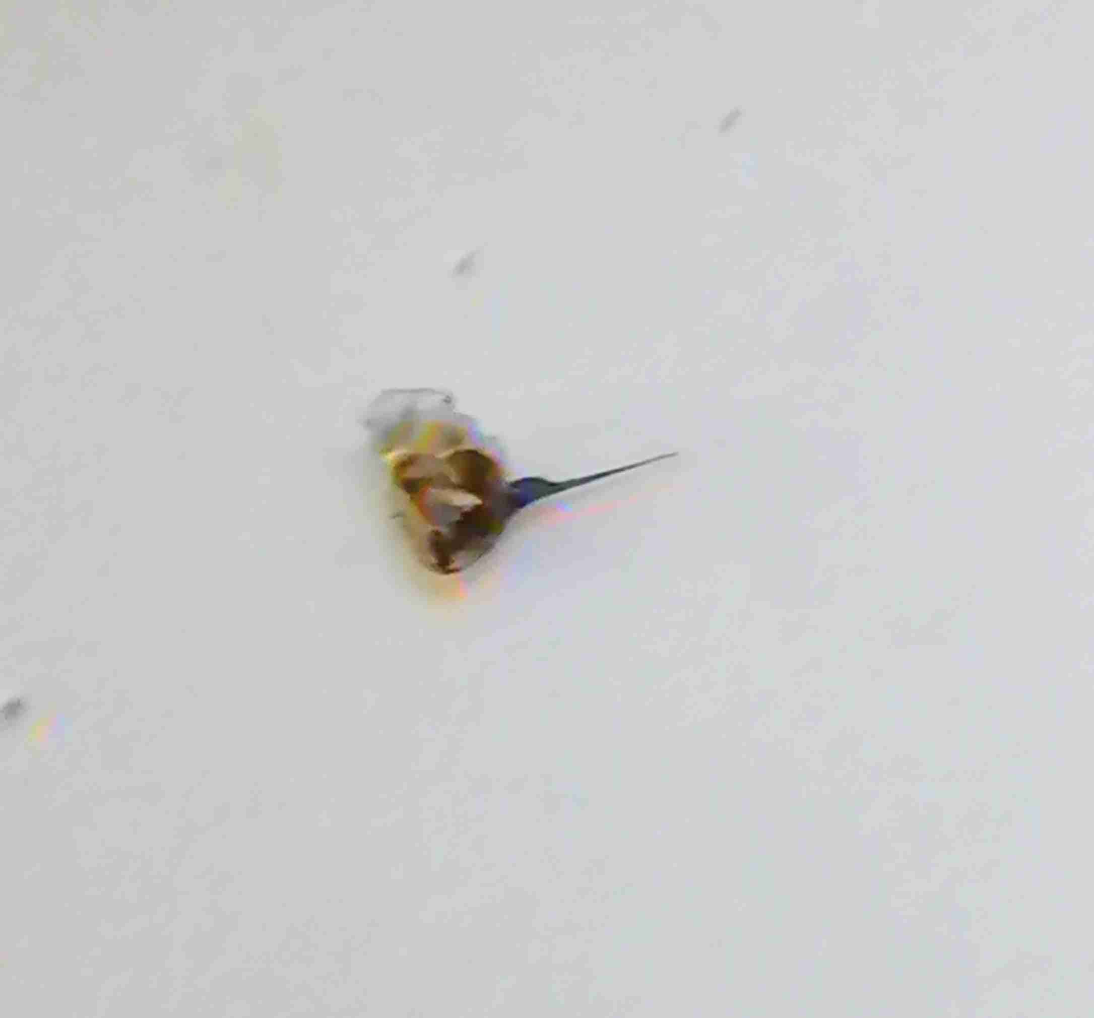 ちょっとだけ傷付いたこと