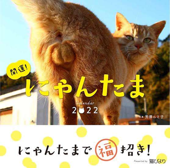 2022年2月22日はスーパー猫の日