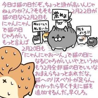 2022年2月22日はスーパー猫の日