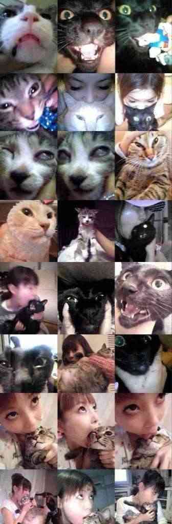 2022年2月22日はスーパー猫の日