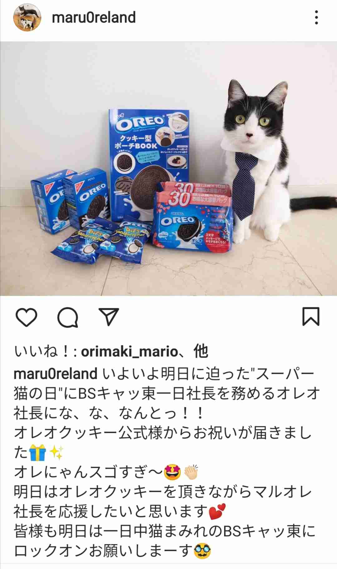 2022年2月22日はスーパー猫の日