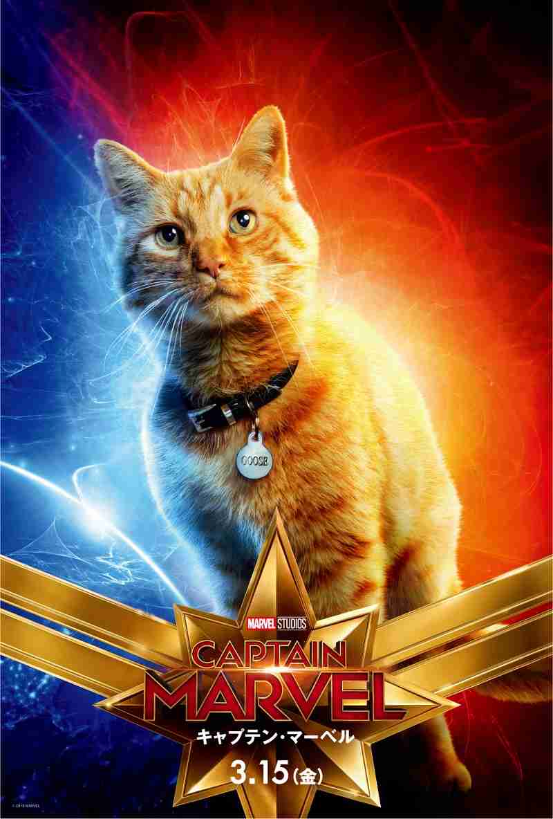 2022年2月22日はスーパー猫の日