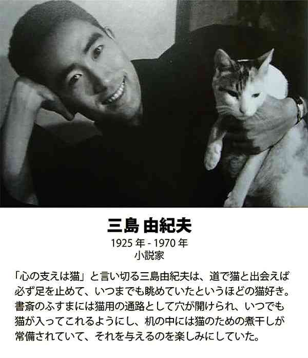 2022年2月22日はスーパー猫の日