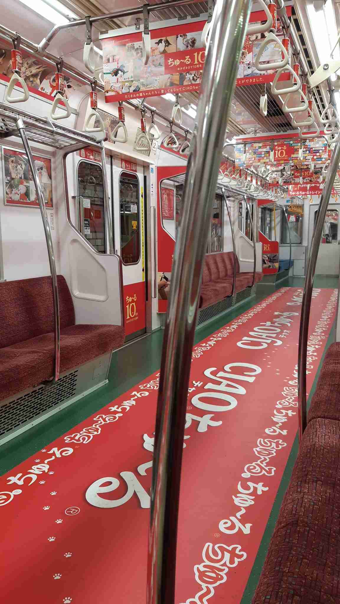 2022年2月22日はスーパー猫の日