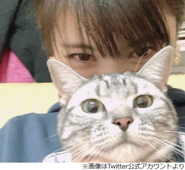 2022年2月22日はスーパー猫の日