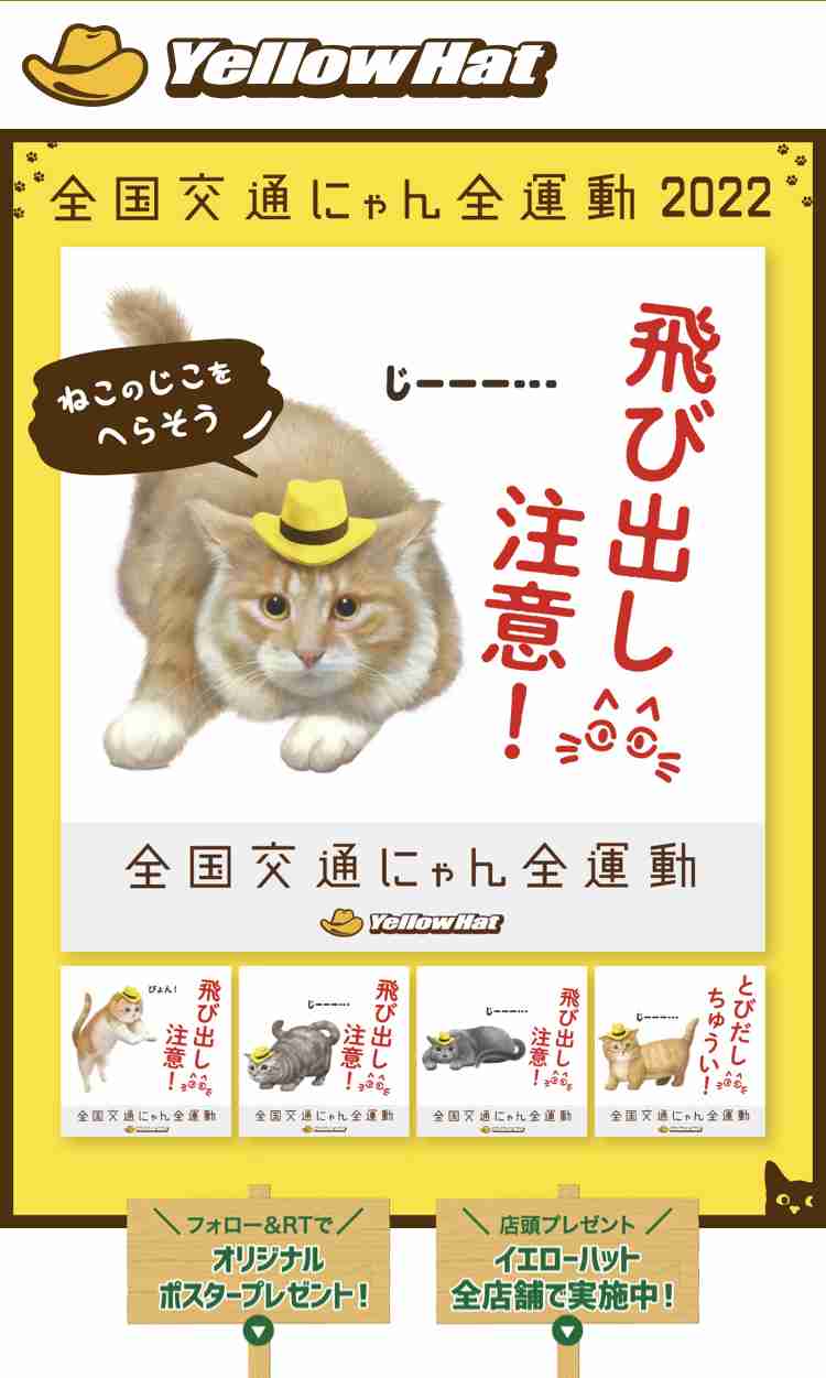 2022年2月22日はスーパー猫の日