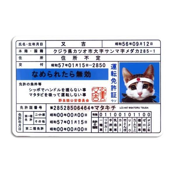 2022年2月22日はスーパー猫の日