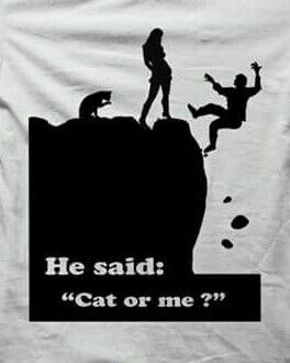 2022年2月22日はスーパー猫の日